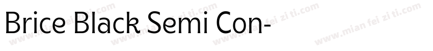 Brice Black Semi Con字体转换